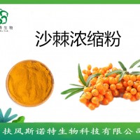 沙棘浓缩汁   斯诺特   沙棘果粉