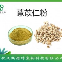 薏苡仁粉  薏米粉   薏苡仁提取物