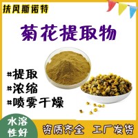 菊花提取物  斯诺特提取工厂