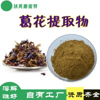 葛花提取物  斯诺特工厂