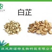 欧前胡素98%  白芷乙素   白芷提取物