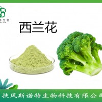 西兰花提取物  萝卜硫素