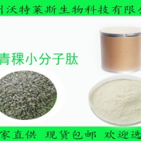 青稞小分子肽80%多肽 青稞提取物粉