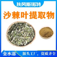 沙棘叶提取物 沙棘叶粉  带检测报告