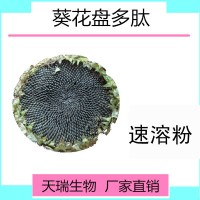 葵花盘提取物10:1多种规格源头厂家包邮葵花盘小分子肽