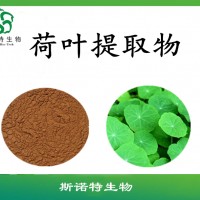 荷叶提取物     荷叶粉