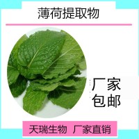 薄荷提取物比例提取源头厂家薄荷浓缩粉
