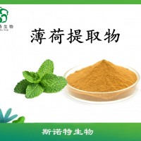 薄荷提取物  薄荷粉  斯诺特厂家供应