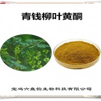青钱柳叶提取物 青钱柳叶黄酮 植物提取物