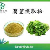 菊苣提取物  菊苣粉   斯诺特长期供应