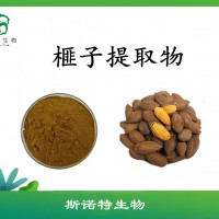 榧子提取物   榧子速溶粉