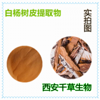 白杨树皮提取物 白杨树皮浓缩粉 白杨树皮浸膏粉