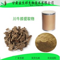 川牛膝提取物    牛膝多糖 10:1 牛膝提取物