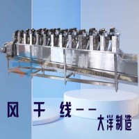大洋机械现货供应FJ5000-2型全自动蔬菜风干流水线