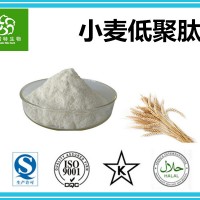 小麦低聚肽 斯诺特集团工厂供应小麦低聚肽粉 固体饮料