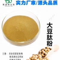 大豆肽粉  大豆小分子肽厂家