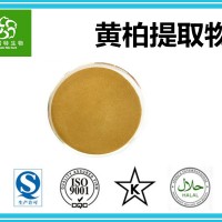 黄柏提取物20：1斯诺特集团工厂 1kg起订 黄柏提取粉