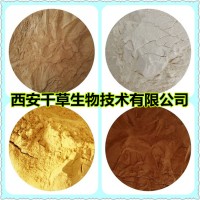 水牛角提取物水牛角浸膏 厂家生产定制水溶性水牛角浓缩粉