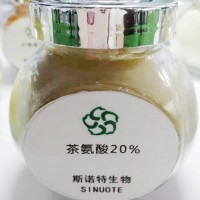 茶叶茶氨酸 含量20% L茶氨酸 新资源食品原料 生产厂家