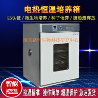 电热培养箱DH250A