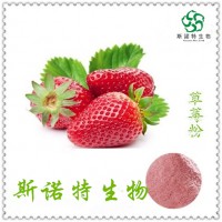 草莓粉 草莓速溶粉 草莓果汁粉