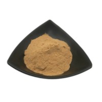 樱花提取物 厂家长期供应樱花粉