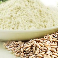 大麦粉农药残留检测机构,大麦粉营养成分检测报告