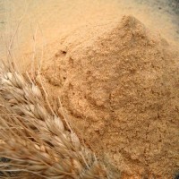 黑麦粉农药残留检测报告 黑麦粉污染物检测机构 黑麦粉营养检测