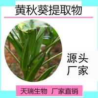 黄秋葵粉黄秋葵原粉目数可定制食品原料批发