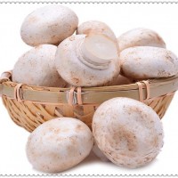 双孢菇多糖  双孢菇粉