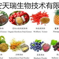 羊栖菜提取物羊栖菜速溶粉10:1源头