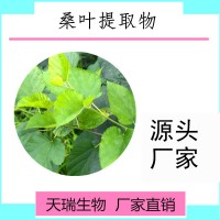 桑叶提取物桑叶速溶粉食品级原料天瑞生产批发