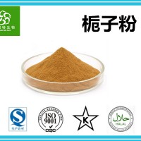 栀子粉20:1 栀子提取物 栀子浓缩粉 斯诺特集团工厂直销