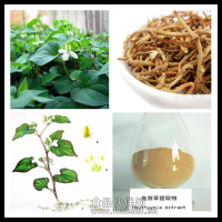 鱼腥草提取物 鱼腥草粉 药食同源原料