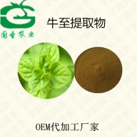 牛至提取物 牛至生粉厂家批发包邮