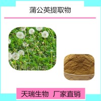 蒲公英提取物水溶性好多种规格蒲公英黄酮 蒲公英原粉