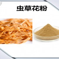 虫草花浓缩粉 植物提取物 虫草花粉 生产厂家