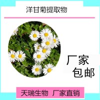 洋甘菊提取物水溶性好多种规格洋甘菊粉