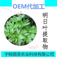 明日叶提取物10:1水提规格可定制明日叶喷雾干燥粉包邮