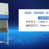 二级生物安全柜-鑫贝西生物安全柜BSC-1100IIB2-X