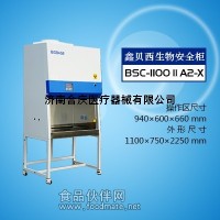 BSC-1100IIA2-X生物安全柜厂家/高校用生物安全柜