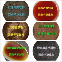 豆瓣菜提取物 厂家生产植物提取物 定做天然浓缩纯浸膏