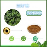 藿香提取物10:1食品原料SC厂家藿香浸膏粉藿香浓缩汁