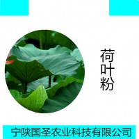 荷叶提取物 荷叶粉水溶性喷雾干燥粉 成品代加工