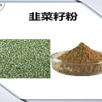韭菜籽速溶粉 厂家发货 韭菜籽粉