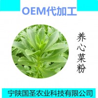 养心菜粉 食品级原料厂家