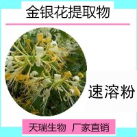 金银花提取物普通食品原料天瑞源头厂家量大从优金银花粉水溶