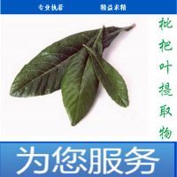 枇杷叶提取物现货新资源食品厂家供应