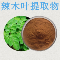 辣木叶提取物厂家水溶新资源食品辣木叶粉