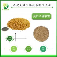 黄芥子粉 代工食品压片 固体饮料